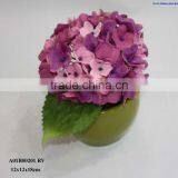 Mix Color Hydrangea Potted thumbnail-1