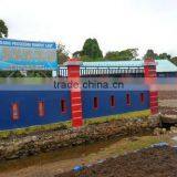 Euchema Spinosum With High Quality thumbnail-3