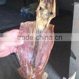 Dried Squid thumbnail-1