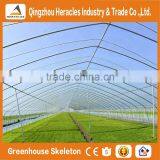 Heracles Trade Assurance Vegetable Seeds Greenhouse thumbnail-3