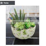Artificial Succulents Artificial Mini Succulents Artificial Succulents Wholesale thumbnail-4