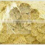 Water Reed thumbnail-2