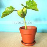 Porcelain Pot Magic Bean thumbnail-1