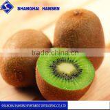 Import Agent of New Zealand Kiwi Fruit