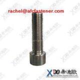 1.4462 Hex Socket Screws thumbnail-2