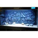 Amazon Background Wall, 3D Dream Background Wall thumbnail-1