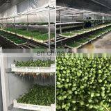 Hot Sale High Quality Barley Grass Growing Machine thumbnail-4
