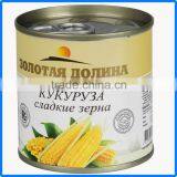 340g canned delicious corn fresh material