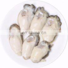 IQF Frozen Oyster Meat thumbnail-3