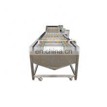 Customized Vegetable Fruit Bubble Washer Citrus Washing Process Machine Citrus Washer Machine thumbnail-4