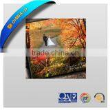 Self-adhesive Paper Photo Album