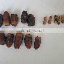 Automatic Dry Dates Pitting Machine Cherry Seed Remover thumbnail-5