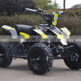 2015 New Model 500w 800W36V 350W24V Kids Electric Mini Quad