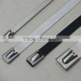 Promotional Perforated Strap Band Nylon Cable Tie/Stainless Steel Cable Tie