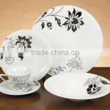 20pcs Porcelain Plates