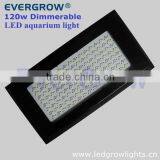 120w dimmable salt water aquarium light