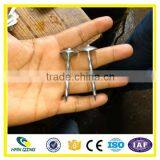 Anping Roofing Nail 3'' Manufacturer thumbnail-6