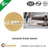 China Supply Best Price for Industrial Gelatin thumbnail-3