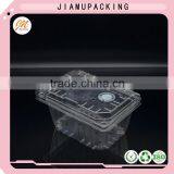 Clear PET Fruit Packaging Tray