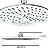 overhead shower head