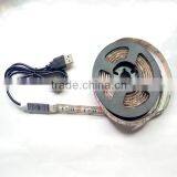 5V SMD5050 USB Strip Light Kit Usb Controlled Led Strip Light With Mini In-line Controller