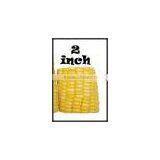 2inch Frozen Sweet Corn Cob thumbnail-1