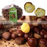 Best Quality and Price Raw Chestnuts From China thumbnail-2