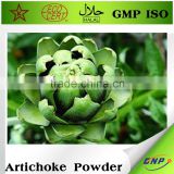 100% nature Artichoke Leaf Powder Extract