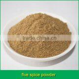 Five Spice Powder