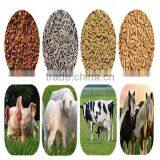 Flat Die Pellet Mill Equipment thumbnail-4