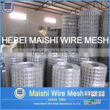 M S Welded Mesh thumbnail-2