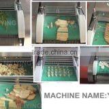 Chinese Electric Automatic Multifunctional Vegetable Cutter 130-660kg/h Capacity thumbnail-5