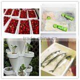 Eps Polystyrene Granules Shape Molding Machine thumbnail-5