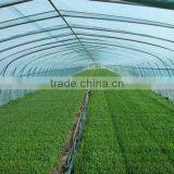 100mm Pvc Plastic Film Covered Tunnel Greenhouse For Private Agicultural Planting thumbnail-4