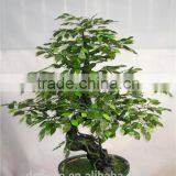 1.2 m Tall Artificial Banyan Bonsai Flower / Tree ( Plant Bonsai Flower RP002 / Tree of DESTE ) thumbnail-1