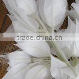 White Banyan Leaves/artificial Banyan Leaves/fake Banyan Leaves thumbnail-3