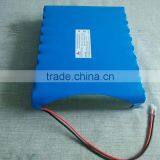 19.2v Lifepo4 Battery Pack