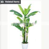 Artificial Decorative Banana Tree Ficus Tree Branch Live Bonsai Tree for Home and Office Decoration thumbnail-6