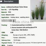 Natural Green Papyrus Scirpus Validus Potted Onion Grass thumbnail-2