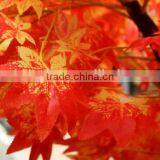 Artificial Maple Tree Branches and Leaves, Similation 90% From Guangzhou Factory thumbnail-4