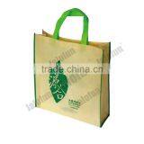 Recyclable Promotional Non Woven Bag/Non Woven Shopping Bag thumbnail-3