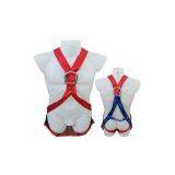 Full Body Safety Harness (JK21020) thumbnail-1