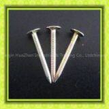 Umbrella Head Roofing Nails thumbnail-3