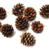 M43 4cm Pine Cones / Deal Apple for Christmas Trees Ornament thumbnail-1