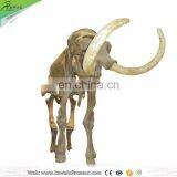 KAWAH OEM Best Quality Artificial Dinosaur Skeleton Made In China thumbnail-1