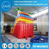 Rainforest Water Slide,giant Inflatable Water Slide for Adult thumbnail-4