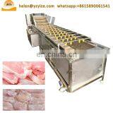 Industrial Ozone Vegetable Fruit Washer Cleaner Vegetable Washing and Drying Machine thumbnail-6