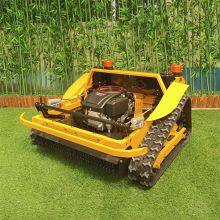 Remote Control Lawn Mower, China Remote Mower for Hills Price, Remote Control Bank Mower for Sale thumbnail-4