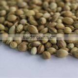 Corriander Seeds thumbnail-1