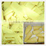 Canned Bamboo Shoots In Brine thumbnail-1